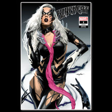 Load image into Gallery viewer, KIB Black Cat Mike Mayhew Cover Art